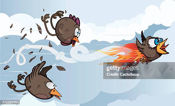 vögel wettbewerb. - huhn fliegen stock-grafiken, -clipart, -cartoons und -symbole