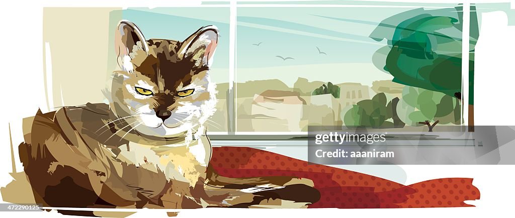 Cat on Windowsill
