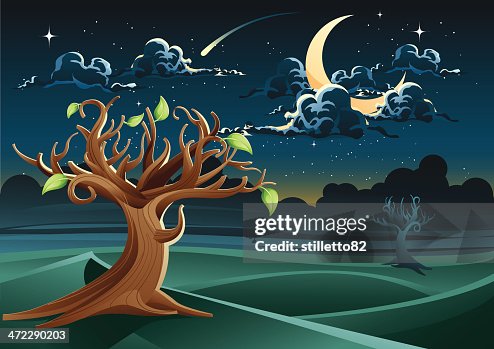 Night Tree Night Tree