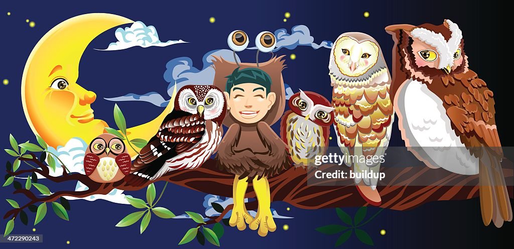 Owl Story