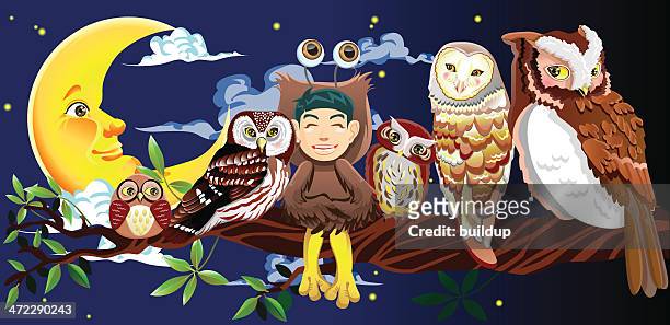 owl story - kawaii universe stock illustrations