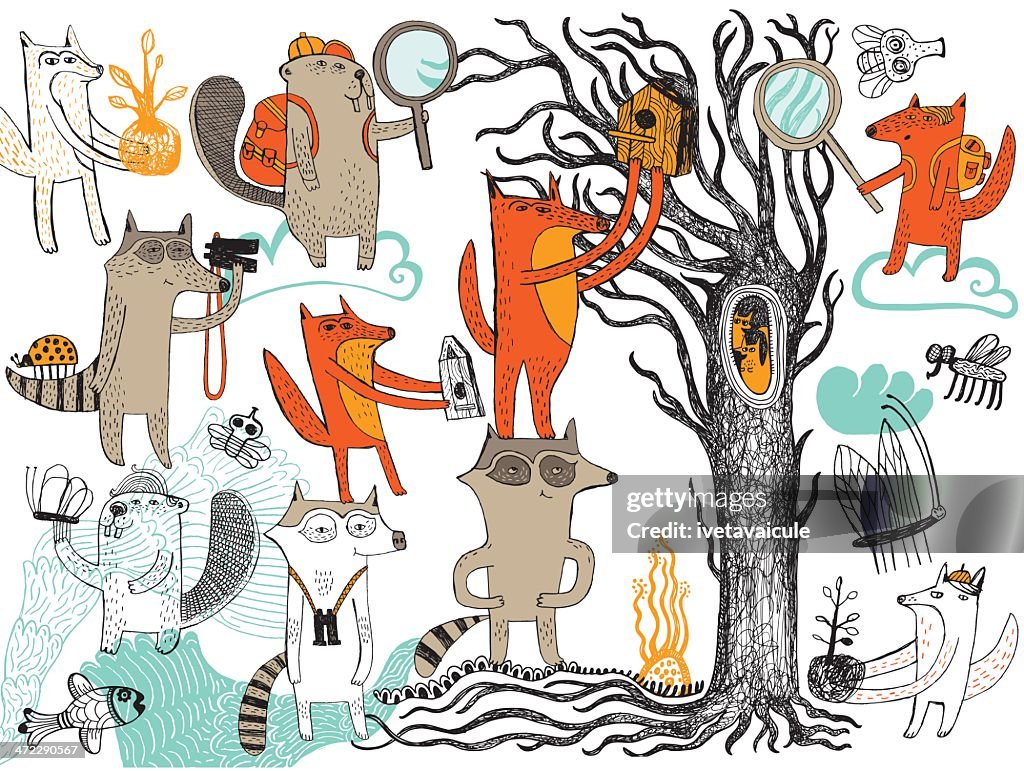 Exploring animals