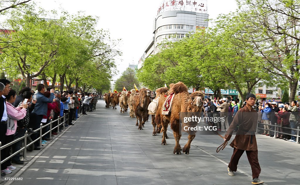 136 Camels Revisit Silk Road