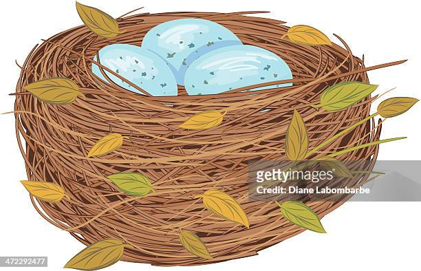 illustrations, cliparts, dessins animés et icônes de nid d'oiseau en dessin animé avec des œufs bleu - nid