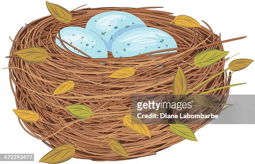 2,809 Three Bird Nest Photos and Premium High Res Pictures - Getty Images