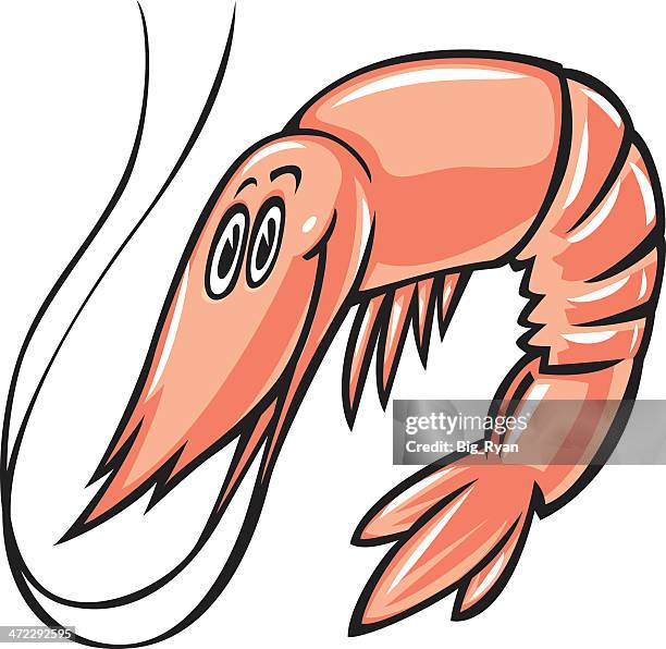 pink shrimp - prawn stock illustrations