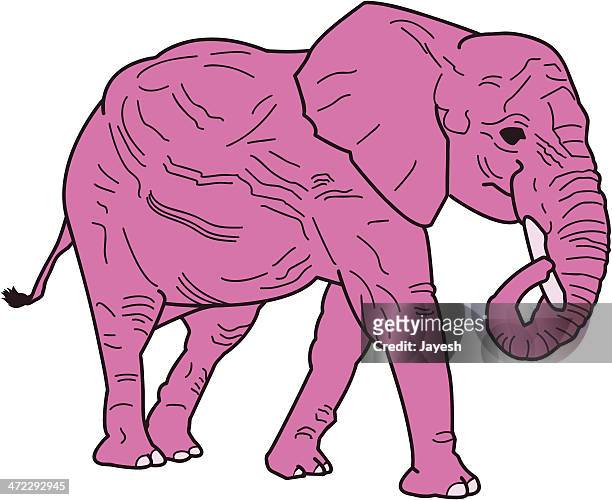 ilustraciones, imágenes clip art, dibujos animados e iconos de stock de es que una rosa elephant? - elephant trunk drink