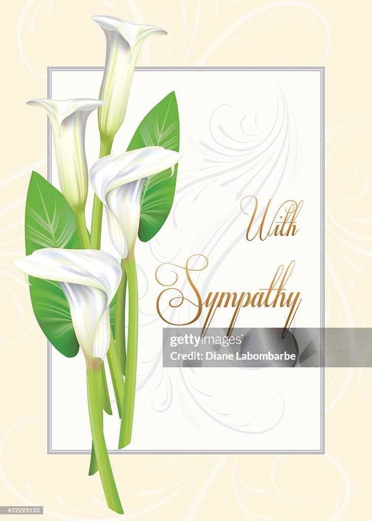 Calla Lily Sympathy Card