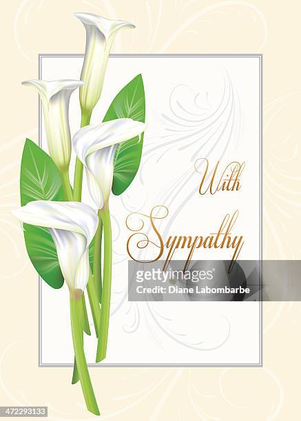 calla lily sympathy card - confort stock illustrations