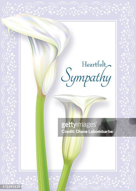 illustrazioni stock, clip art, cartoni animati e icone di tendenza di calla solidarietà carta - calla lily