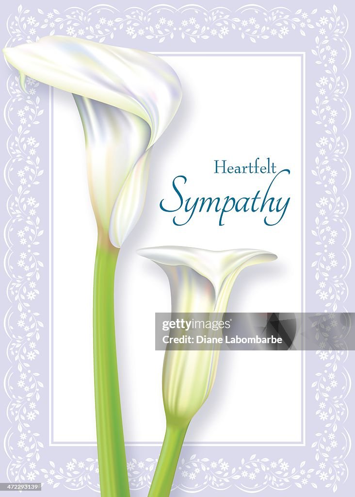 Calla Lily Sympathy Card