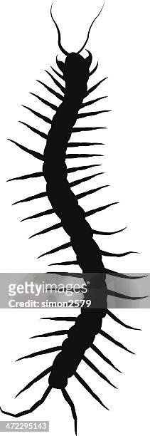 centipede - centipede 幅插畫檔、美工圖案、卡通及圖標