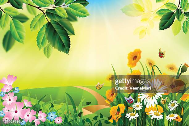 spring background - daisy background stock illustrations
