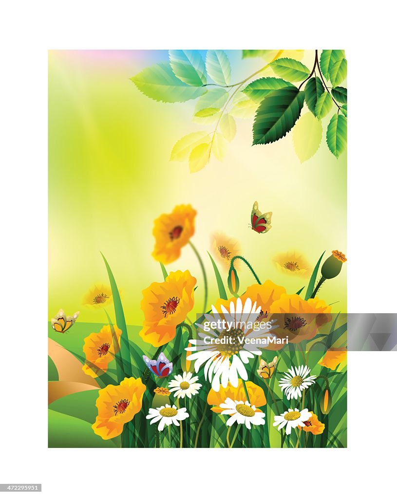 Spring Background