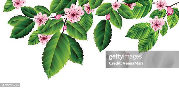 spring leaves - tulip background stock illustrations