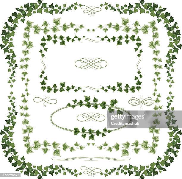 bildbanksillustrationer, clip art samt tecknat material och ikoner med ivy frames - murgröna