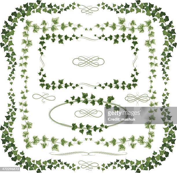 ivy frames - leaf veins stock illustrations