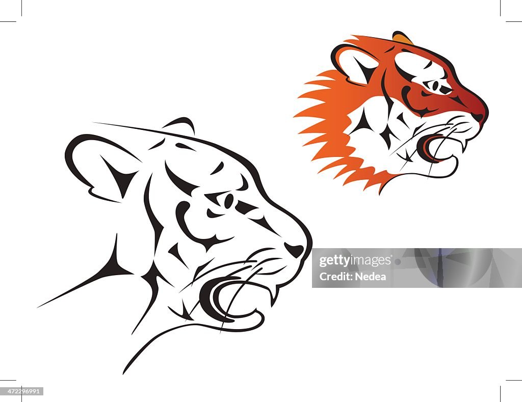 Tiger's head