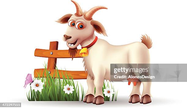 funny goat - goats foot stock illustrations