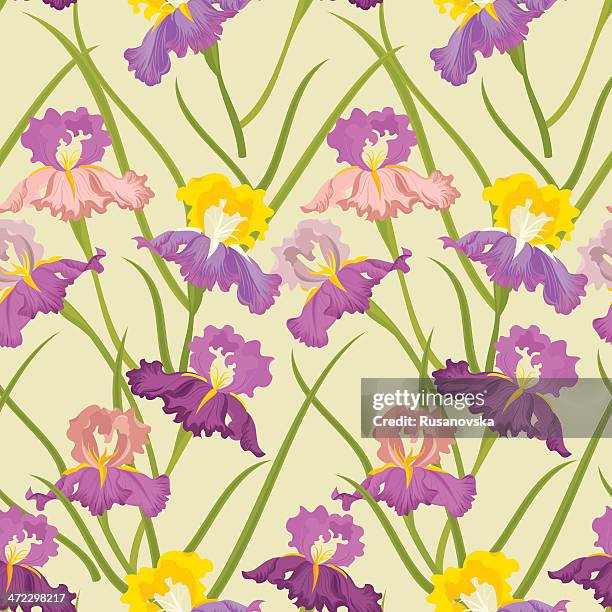 floral seamless pattern (iris) - iris flower stock illustrations