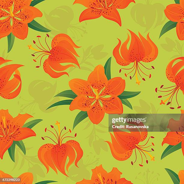 floral seamless pattern (orange lily) - tiger lily flower stock illustrations