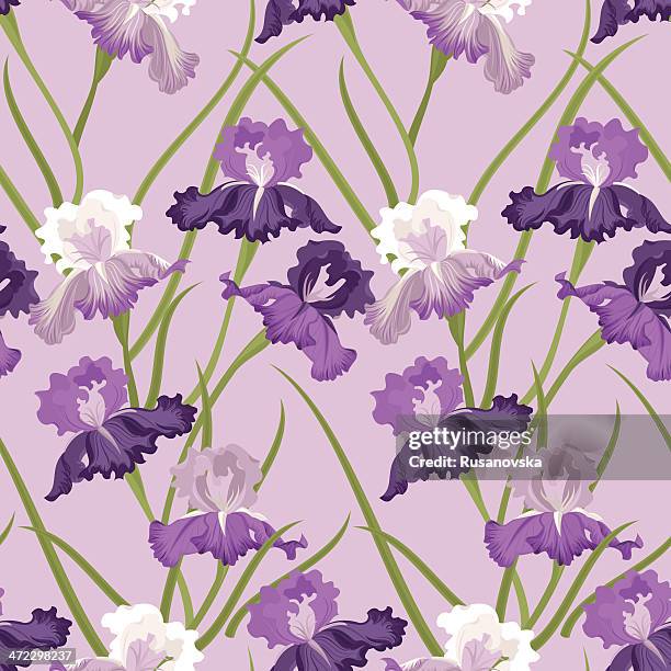 floral seamless pattern (purple iris) - the purple iris stock illustrations