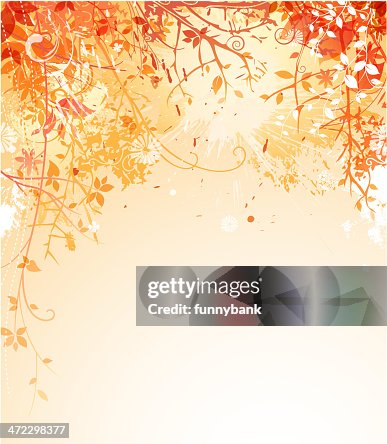 Graphics Spring Leaf Spring Leaf Backround High-Res Vector Graphic - Getty Images