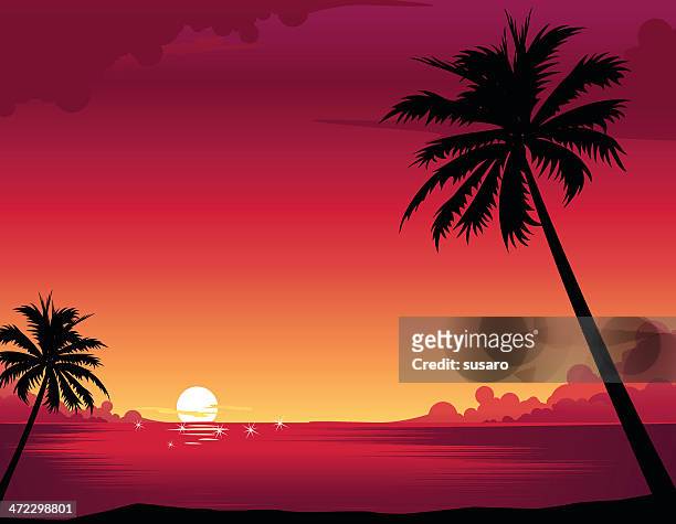 stockillustraties, clipart, cartoons en iconen met sunset beach - waterlijn