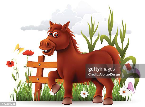 Cute Horse, Stockfoto