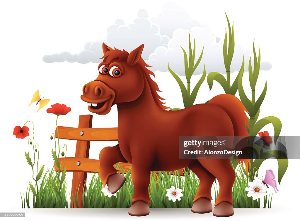 Cute Horse