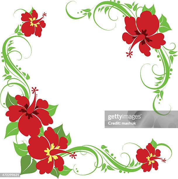 hibiscus ornament - flower patch stock illustrations