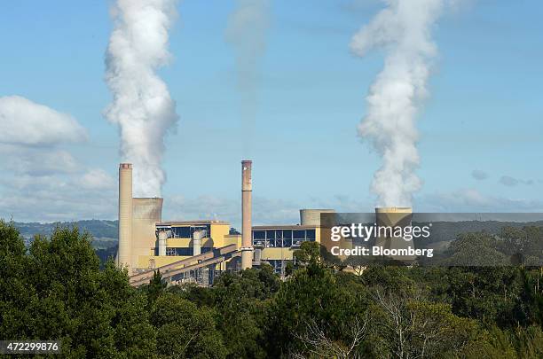 Steam billows from the cooling towers of the Yallourn coal-fired power station operated by EnergyAustralia Holdings Ltd., a unit of CLP Holdings...