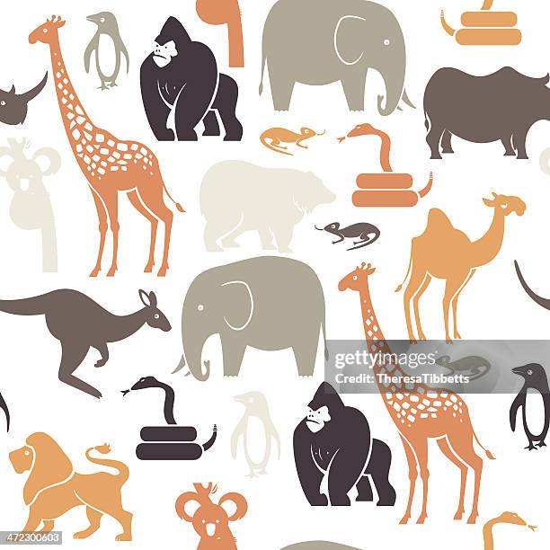Zoo Animal Pattern Photos and Premium High Res Pictures - Getty Images