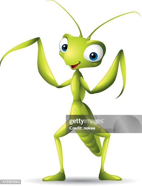 ilustraciones, imágenes clip art, dibujos animados e iconos de stock de mantis religiosa - mantis religiosa