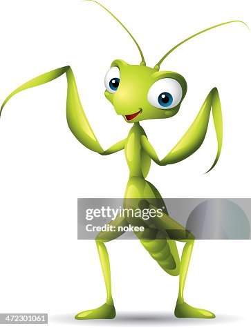 Praying Mantis Praying Mantis