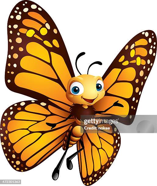 ilustraciones, imágenes clip art, dibujos animados e iconos de stock de mariposa monarca - nymphalidae mariposa