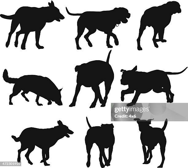 133点の犬 後ろ姿イラスト素材 Getty Images 133点の犬 後ろ姿イラスト素材 Getty Images