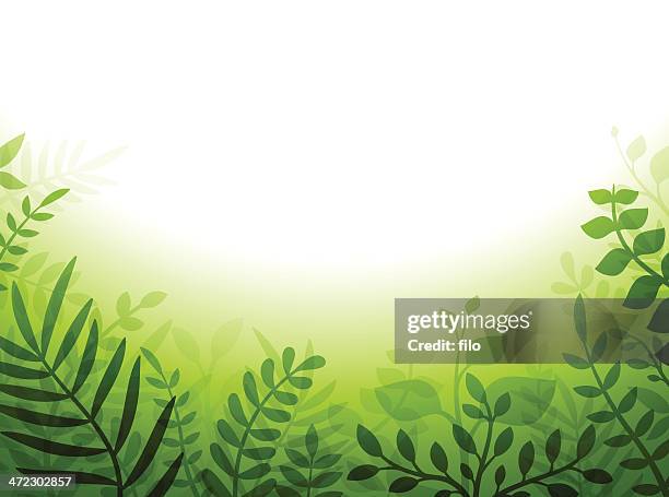 green plant border - dark green forest background stock illustrations