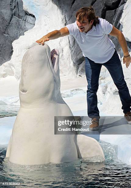 In this handout photo provided by SeaWorld San Diego, Actor, impressionist and social media sensation Jamie Costa met Ferdinand, a male beluga whale...