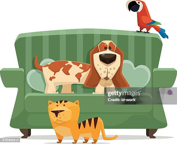 ilustraciones, imágenes clip art, dibujos animados e iconos de stock de gatos, perros y loro - basset hound