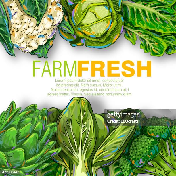 fresh vegetables - bok choy stock illustrations