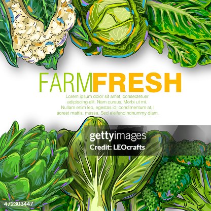 Fresh Vegetables Fresh Vegetables