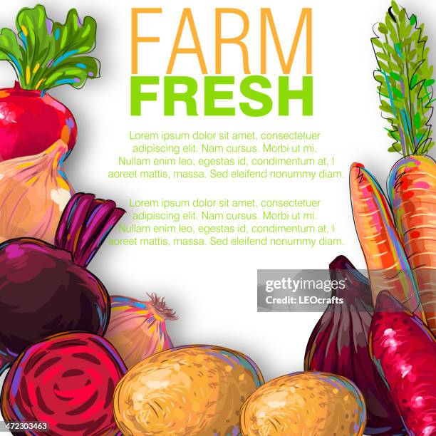 stockillustraties, clipart, cartoons en iconen met fresh vegetables - spaanse ui