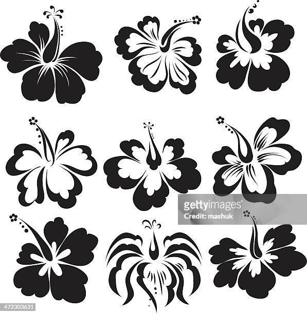 hibiscus  - aloha stock-grafiken, -clipart, -cartoons und -symbole