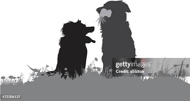 105点のボーダーコリーイラスト素材 Getty Images 105点のボーダーコリーイラスト素材 Getty Images