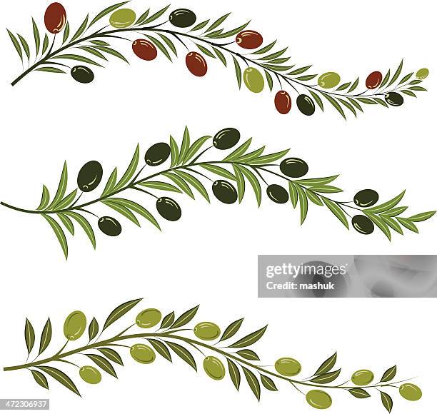 olive - black olive stock illustrations
