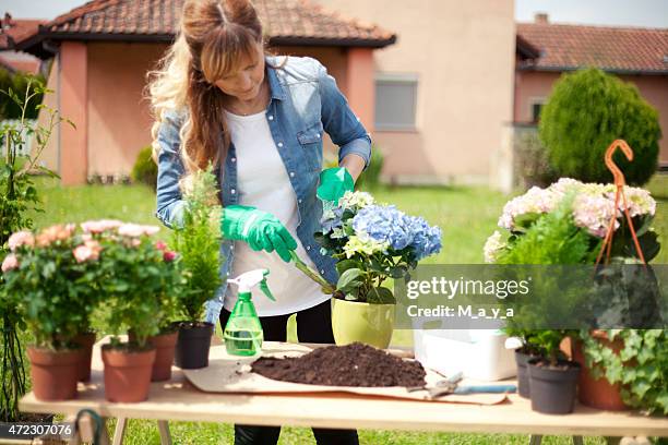 jardinagem - potting - fotografias e filmes do acervo