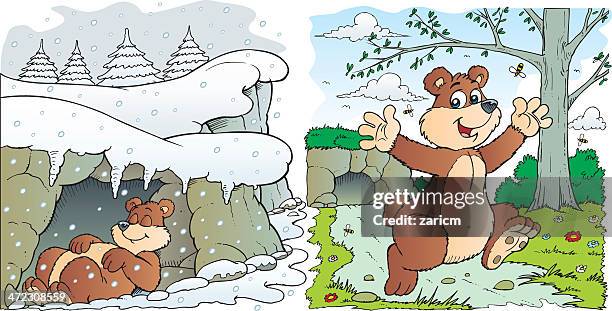 hibernate - hibernation stock illustrations
