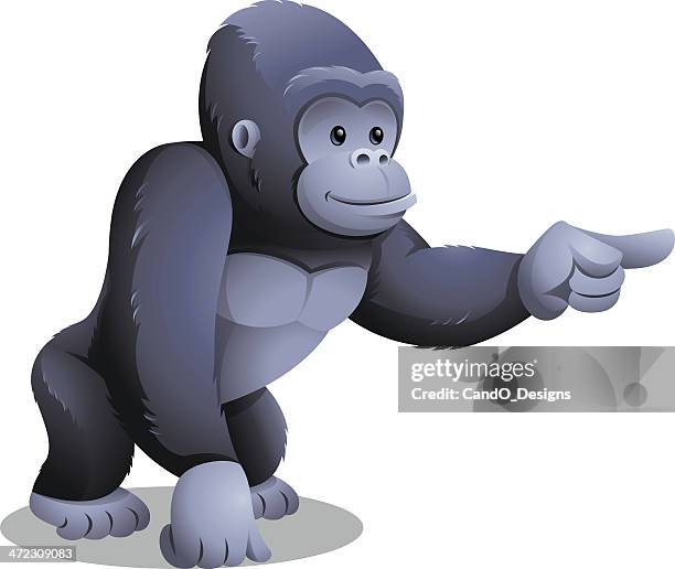 gorilla: pointing - gorilla stock illustrations
