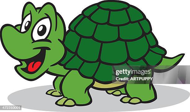 129 Cartoon Turtle Shell Photos and Premium High Res Pictures - Getty Images 129 Cartoon Turtle Shell Photos and Premium High Res Pictures - Getty Images